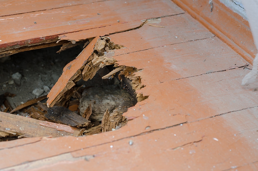 Superior Specialty Inspections